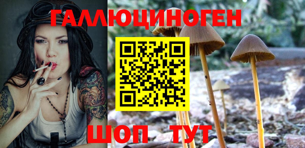 Псилоцибиновые грибы GOLDEN TEACHER Чехов