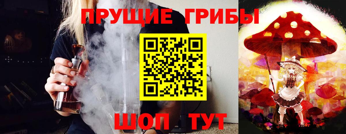 Псилоцибиновые грибы ЛСД  закладка  Вход с VPN  Чехов  Галлюциногенные грибы мухоморы 