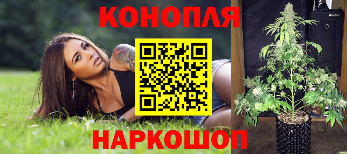 Бошки Шишки семена  Бошки Шишки Bruce Banner  Чехов  Вход с VPN  МАРИХУАНА THC 21% 